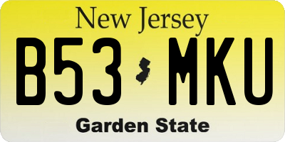 NJ license plate B53MKU