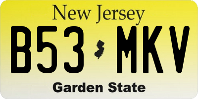 NJ license plate B53MKV
