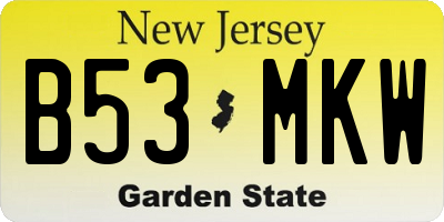 NJ license plate B53MKW