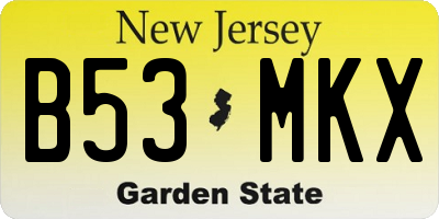 NJ license plate B53MKX