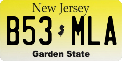 NJ license plate B53MLA