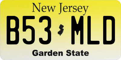 NJ license plate B53MLD