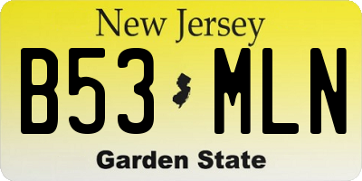 NJ license plate B53MLN
