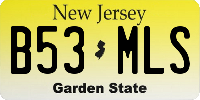 NJ license plate B53MLS