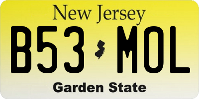 NJ license plate B53MOL