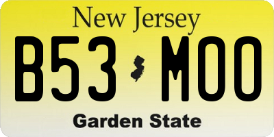 NJ license plate B53MOO