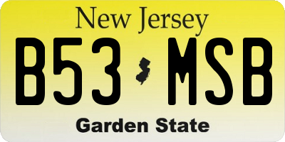 NJ license plate B53MSB