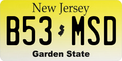 NJ license plate B53MSD