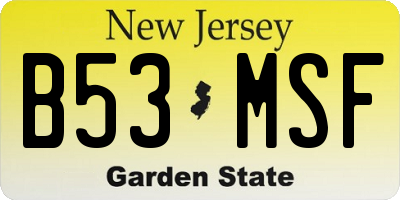 NJ license plate B53MSF