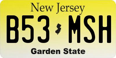 NJ license plate B53MSH