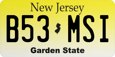 NJ license plate B53MSI