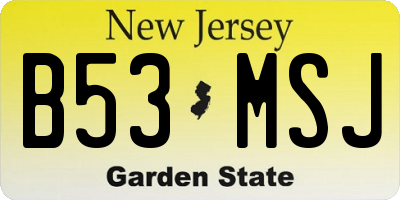 NJ license plate B53MSJ