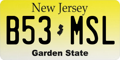 NJ license plate B53MSL