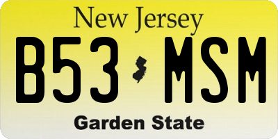 NJ license plate B53MSM