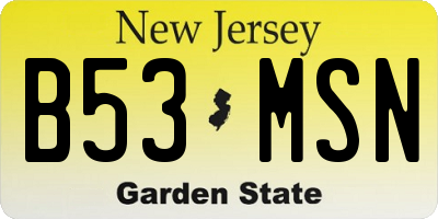 NJ license plate B53MSN