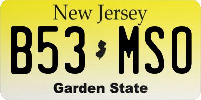 NJ license plate B53MSO