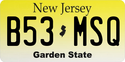 NJ license plate B53MSQ