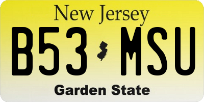 NJ license plate B53MSU
