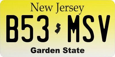 NJ license plate B53MSV