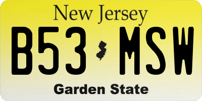NJ license plate B53MSW