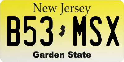 NJ license plate B53MSX