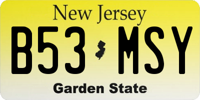 NJ license plate B53MSY