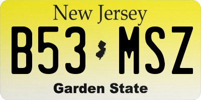NJ license plate B53MSZ