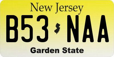 NJ license plate B53NAA