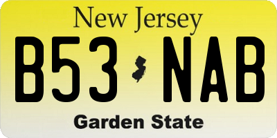 NJ license plate B53NAB