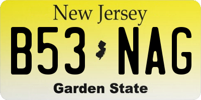 NJ license plate B53NAG