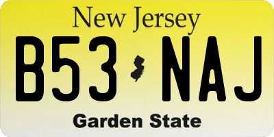 NJ license plate B53NAJ
