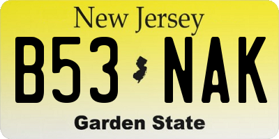 NJ license plate B53NAK