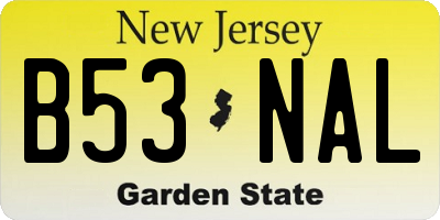 NJ license plate B53NAL