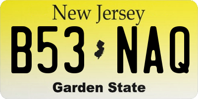 NJ license plate B53NAQ