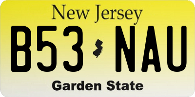 NJ license plate B53NAU