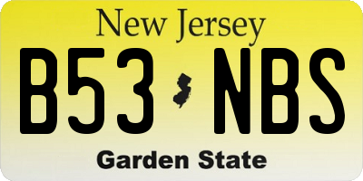 NJ license plate B53NBS