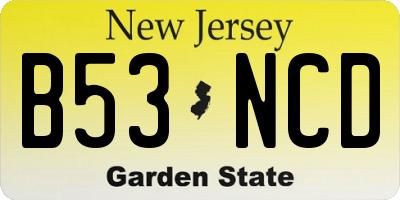 NJ license plate B53NCD