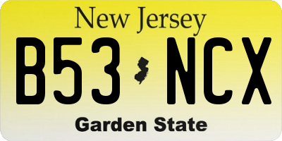 NJ license plate B53NCX