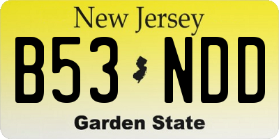 NJ license plate B53NDD