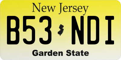 NJ license plate B53NDI