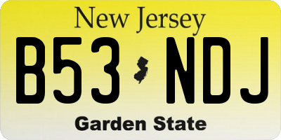 NJ license plate B53NDJ