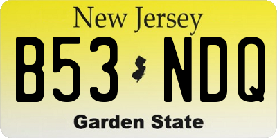 NJ license plate B53NDQ
