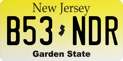 NJ license plate B53NDR