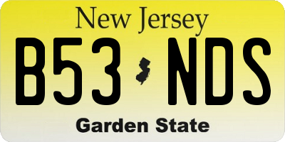 NJ license plate B53NDS