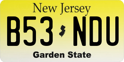 NJ license plate B53NDU