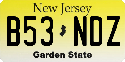 NJ license plate B53NDZ
