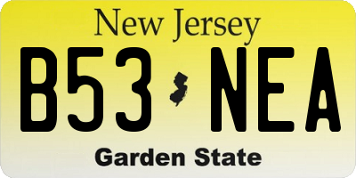 NJ license plate B53NEA