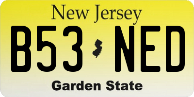 NJ license plate B53NED