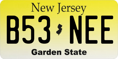 NJ license plate B53NEE