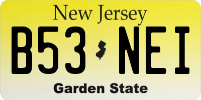 NJ license plate B53NEI